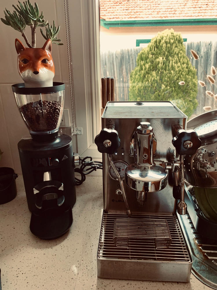 Mahlkonig X54 Allround Coffee Grinder - Customer Photo From Sam A.