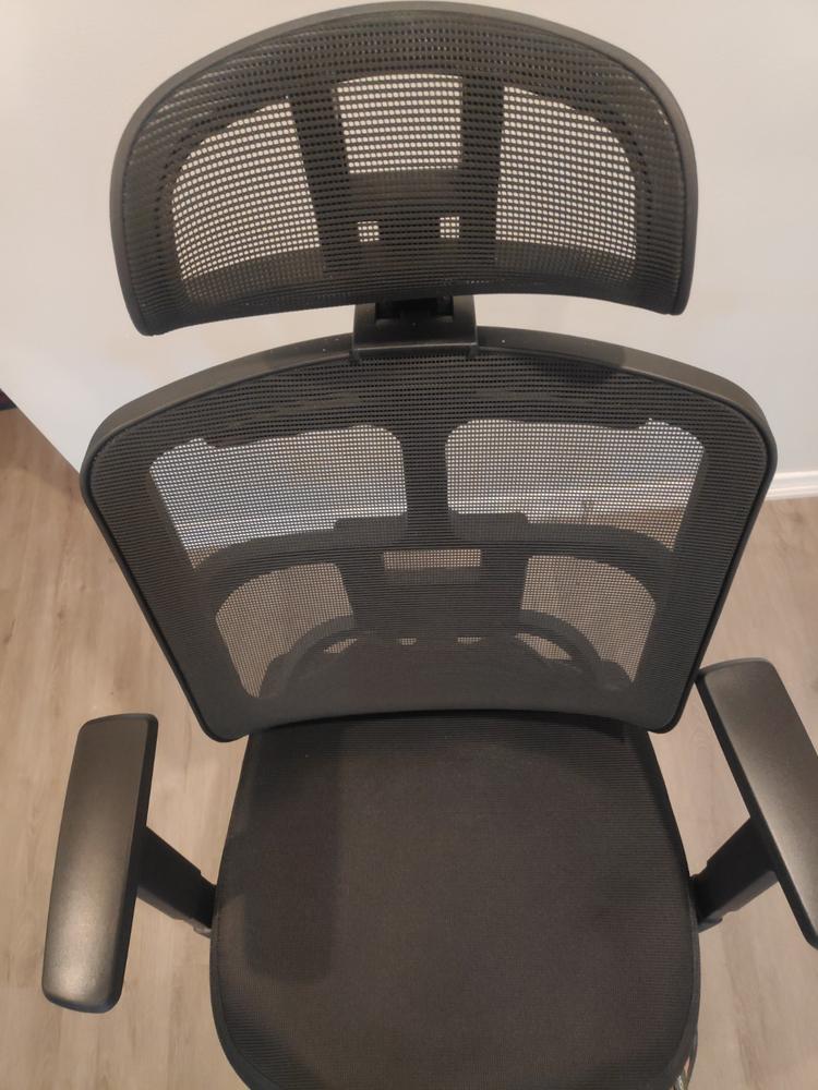 Motion SkyMesh Ergonomic Office Chair - Customer Photo From Harsh Shah