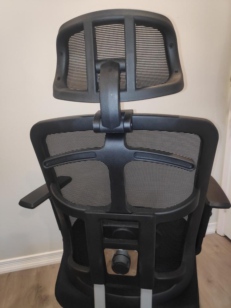 Motion SkyMesh Ergonomic Office Chair - Customer Photo From Harsh Shah