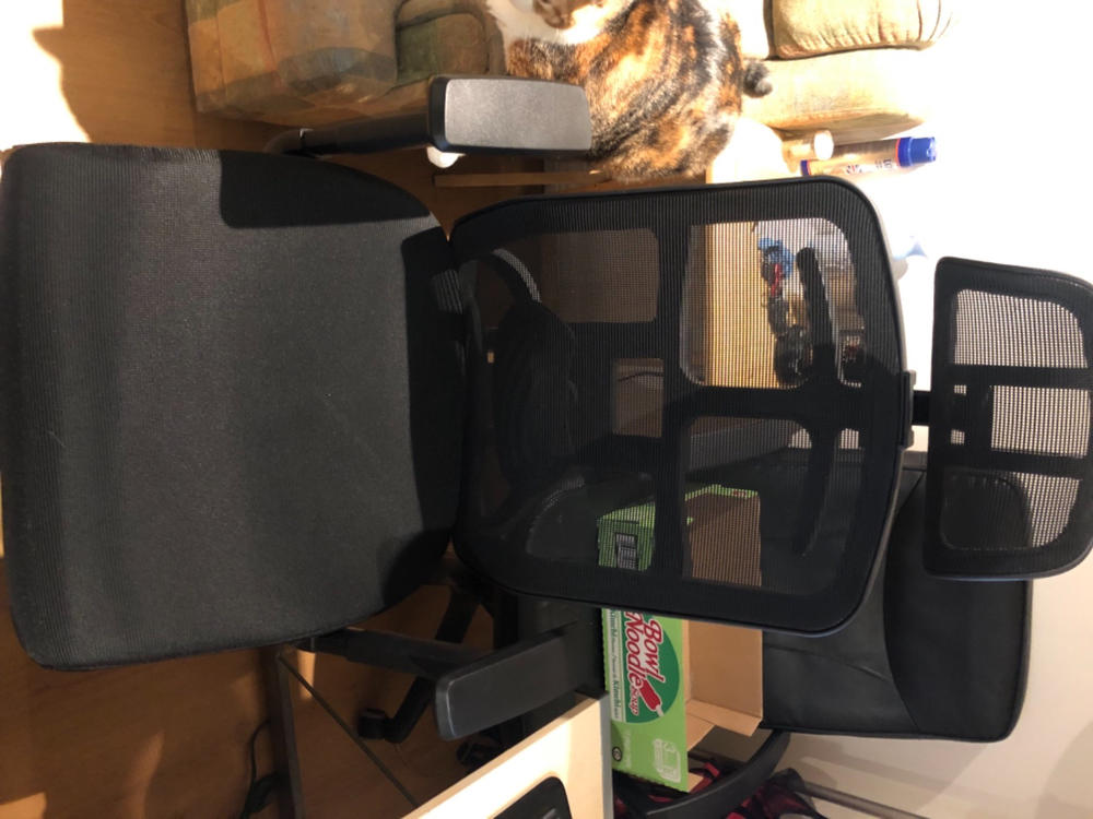 Motion SkyMesh Ergonomic Office Chair - Customer Photo From Francois Hudon