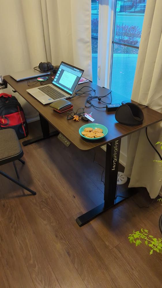 Ergo2 Series Standing Desk - Customer Photo From Indrashish Bhattacharya