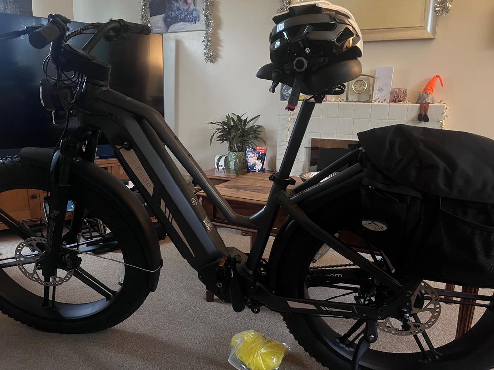Fiido Titan Electric Bike - Long range - Extender Battery Combo (3 Batteries with rack) - Customer Photo From Joanna Brown