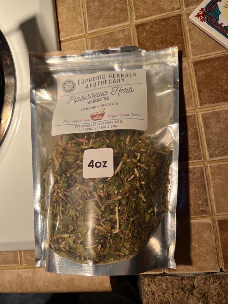 Pipsissewa - Customer Photo From Wanda Chapman