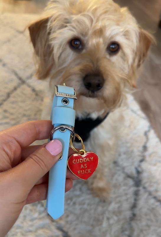Cuddly AF Tag - Customer Photo From Charlie roniss