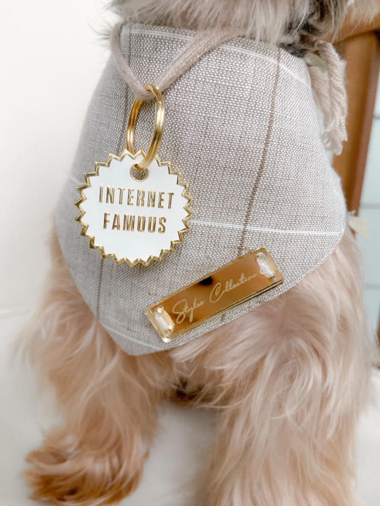Internet Famous Tag - Customer Photo From Liza The Yorkie