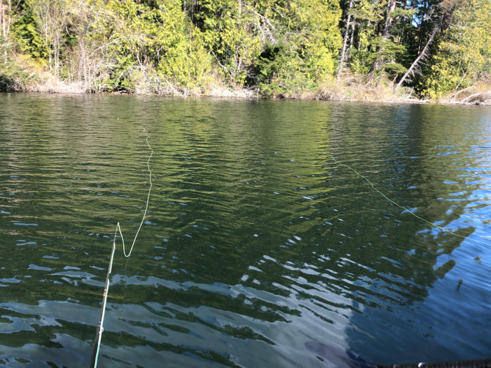 Rio Indicator Leader - Customer Photo From Anonymous