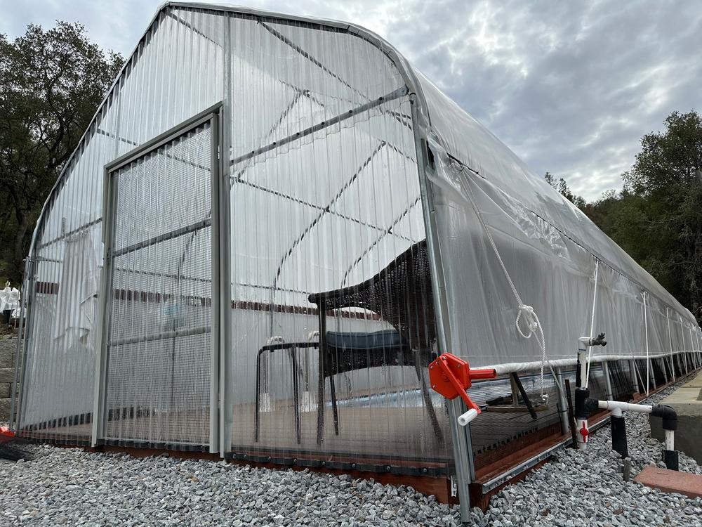 TMG Industrial 12’ x 60’ Tunnel Greenhouse Grow Tent w/6 Mil Clear EVA Plastic Film, Cold Frame, Hand Crank Roll-Up Sides, Peak Ceiling Roof, TMG-GH1260 - Customer Photo From Phung