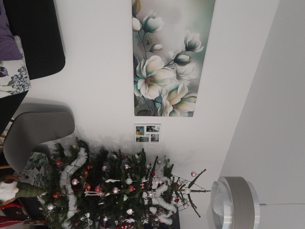 Tablou canvas romanesc - Cascada Bigar - Customer Photo From Leonora Scarnenci