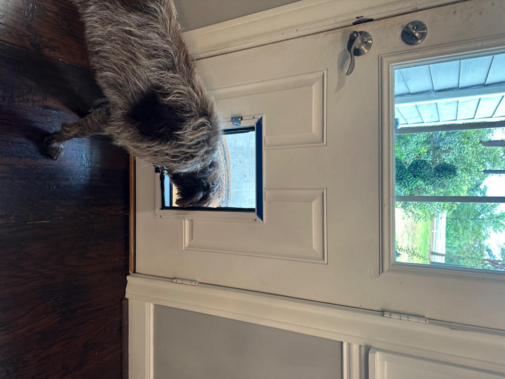 Hale Pet Doors for Doors - Customer Photo From Sherri Vargas