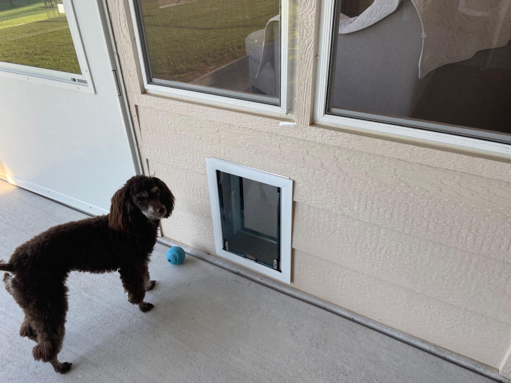 Hale Pet Doors for Walls - Customer Photo From Christi Dorsey