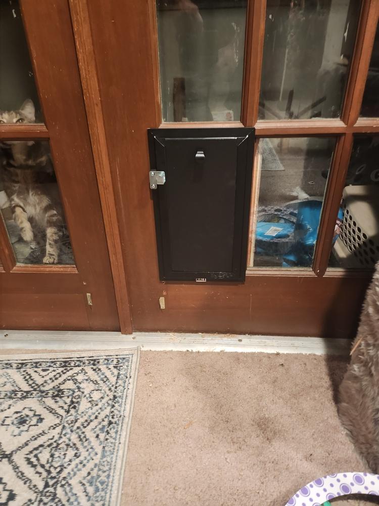 Hale Custom Dimension Pet Doors for Doors - Customer Photo From Jason Blanchard