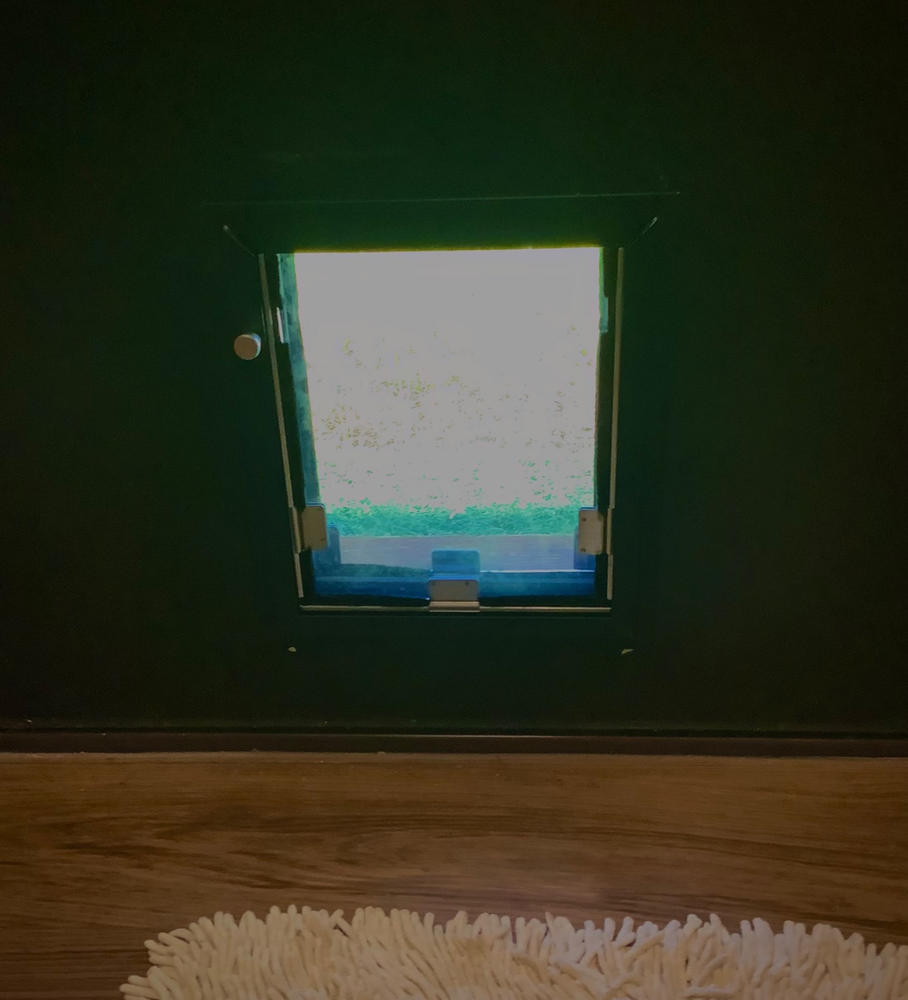 Hale Custom Dimension Pet Doors for Doors - Customer Photo From Ted Herrmann