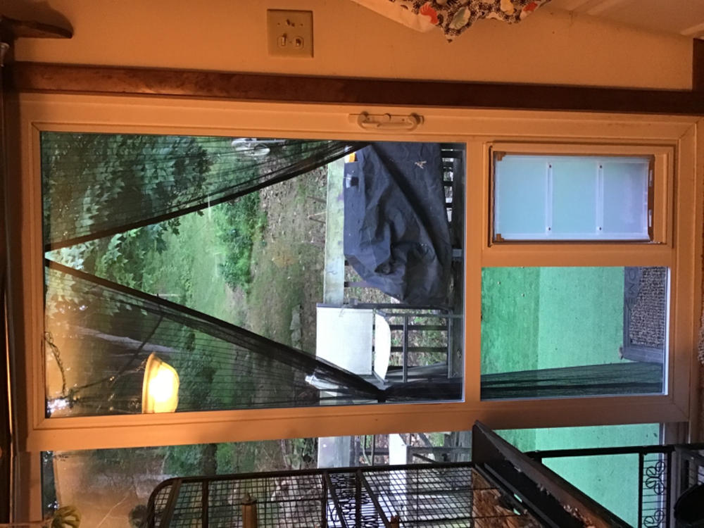 Pet Door Guys In The Glass Pet Door - Customer Photo From Tracy Fregm