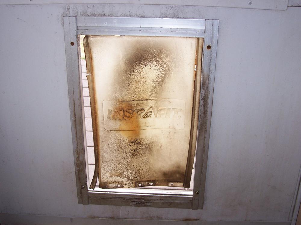 PetSafe Classic Replacement Flap - Customer Photo From Ken K