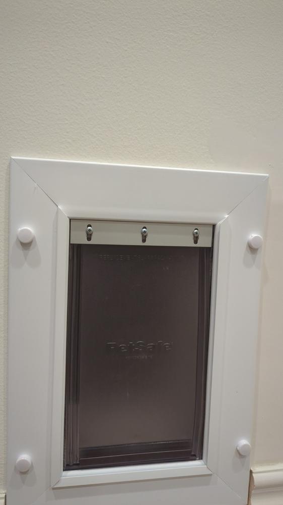 PetSafe Wall Entry Pet Door - Customer Photo From Bryan Dzvonick