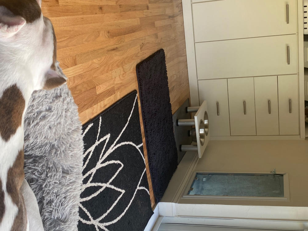 Hale Pet Doors for Thick Walls With Extra Long Tunnel - Customer Photo From Elsa Vazquez