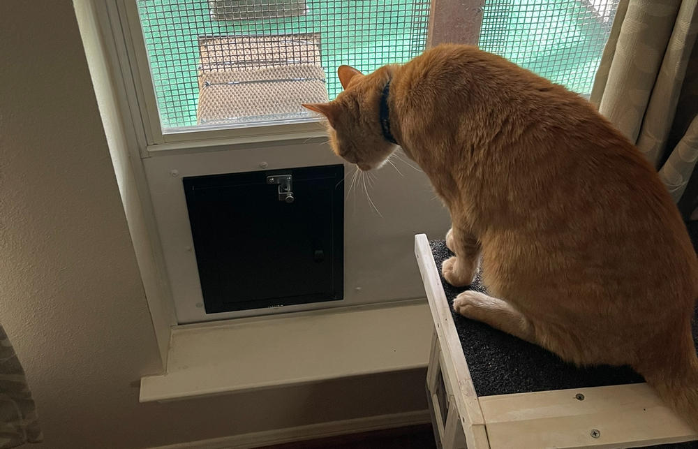 Hale Pet Doors for Thick Walls With Extra Long Tunnel - Customer Photo From John Sharkey