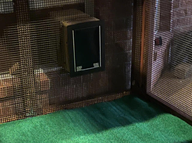 Hale Pet Doors for Thick Walls With Extra Long Tunnel - Customer Photo From John Sharkey