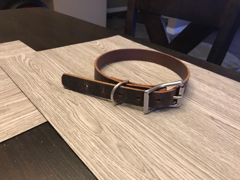 Black Thick Leather Dog Collar - Customer Photo From Rick Urech