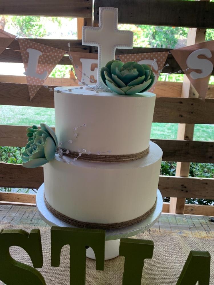 Green Ice Succulent - Customer Photo From Monica L.