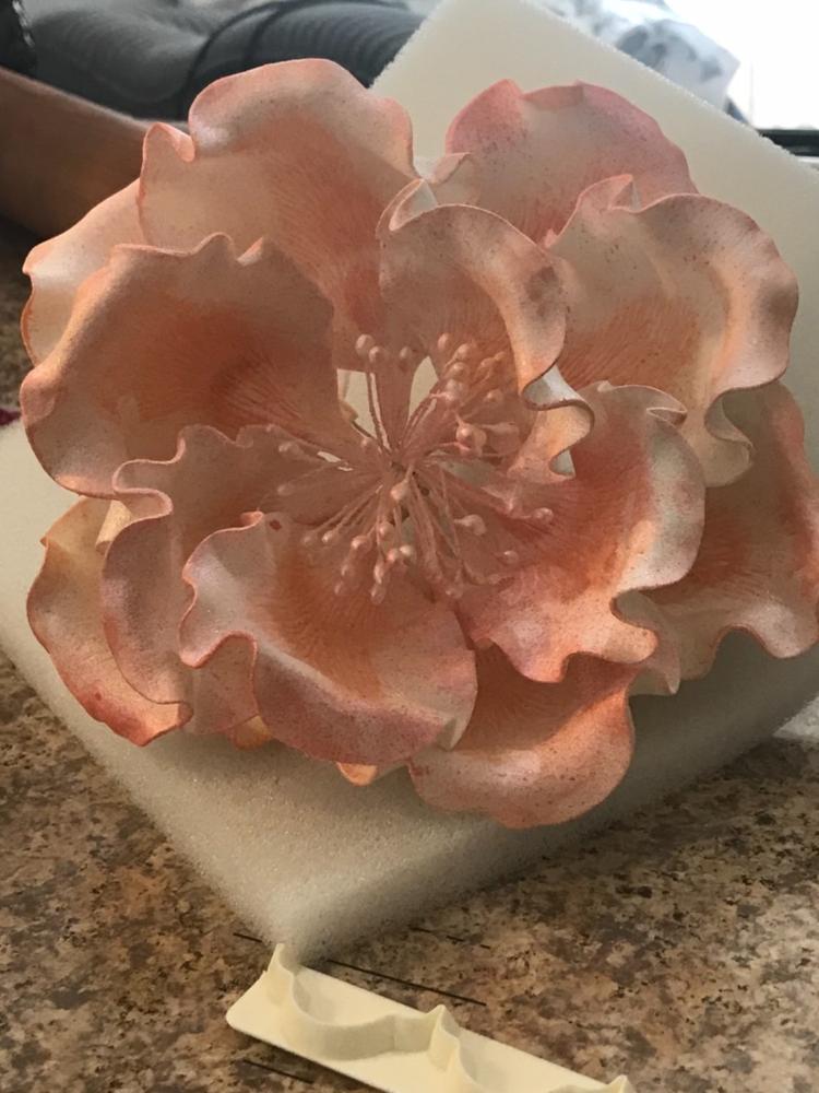 Muffin Cups - Mariposa Brown - Customer Photo From E P.