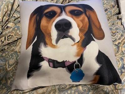 Custom Pet Pillow - Customer Photo From Scot Ben