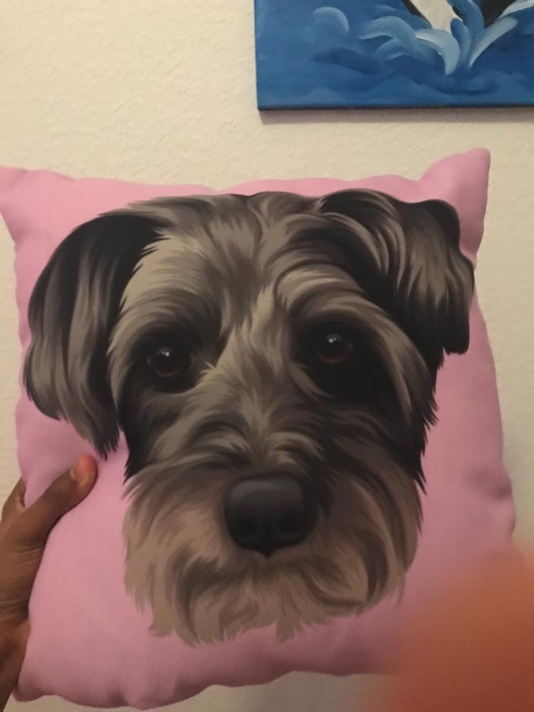 Custom Pet Pillow - Customer Photo From Denise Brown