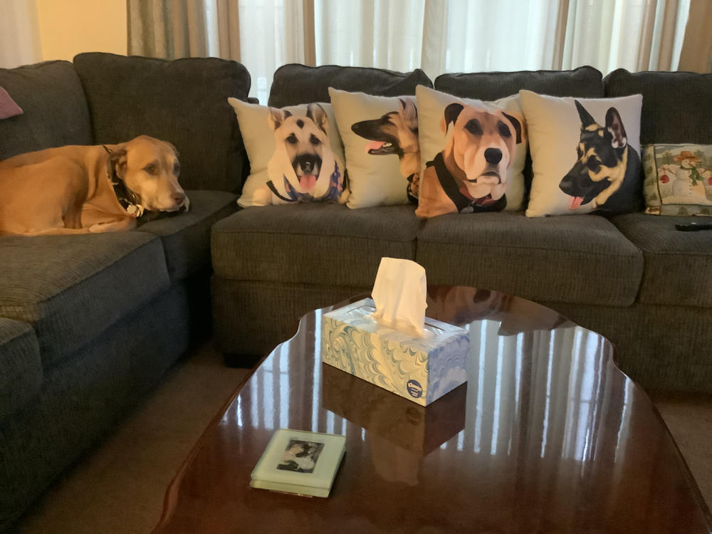 Custom Pet Pillow - Customer Photo From Grant Cocco