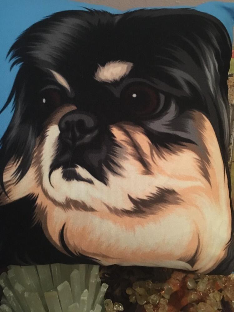 Custom Pet Pillow - Customer Photo From Jennifer Dobbins