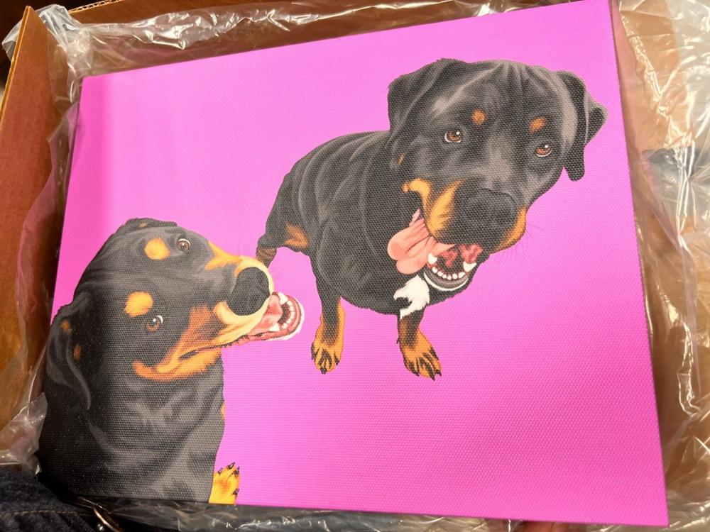 Custom Pet Portrait Canvas - Customer Photo From Monica Parmenter