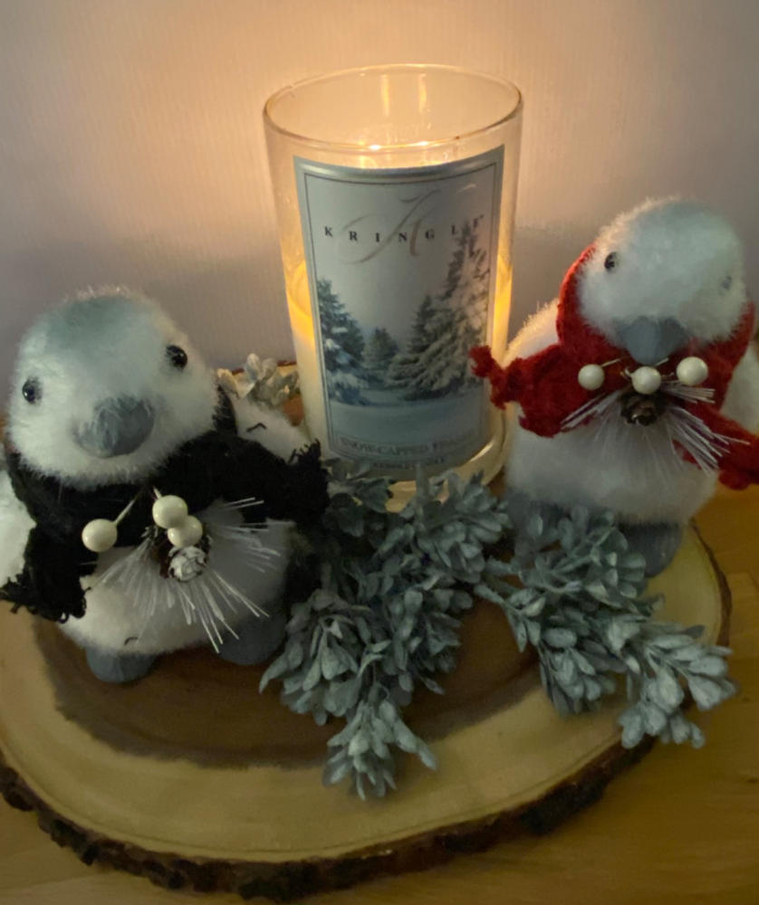 Snow Capped Fraser | Soy Candle - Customer Photo From Cindy D.