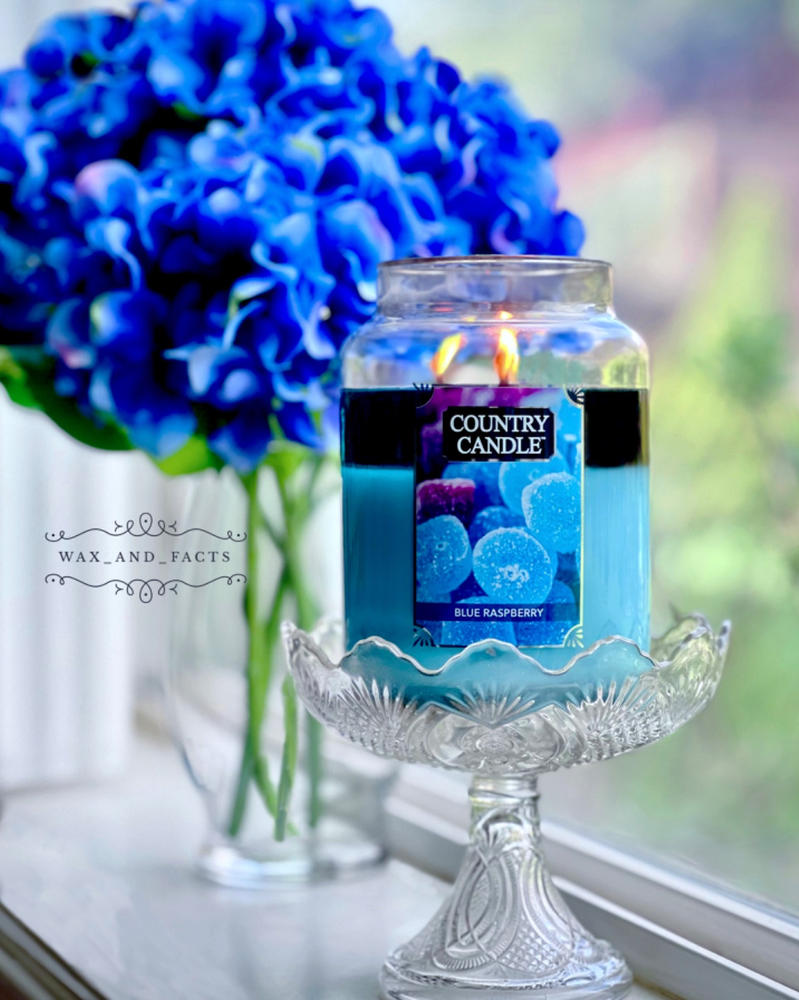 Blue Raspberry Large 2-wick - Customer Photo From Fiona S.