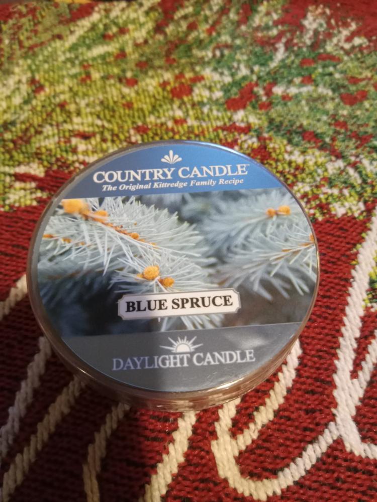 Blue Spruce | DayLight - Customer Photo From Dinah A.