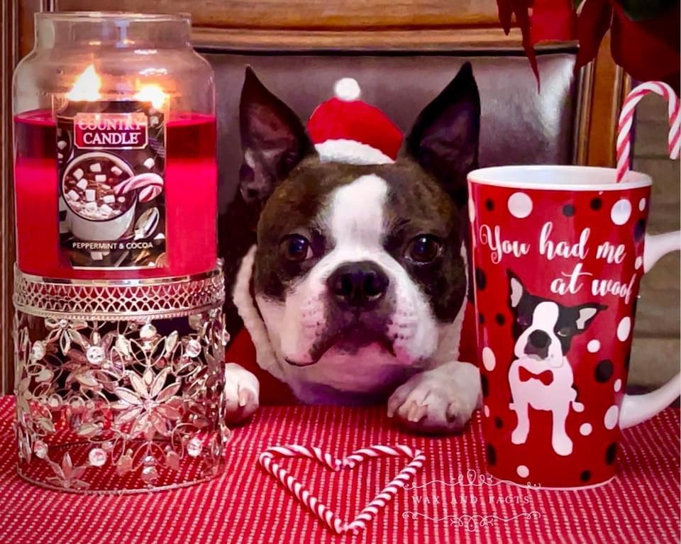 Peppermint & Cocoa Large 2-wick - Customer Photo From Fiona