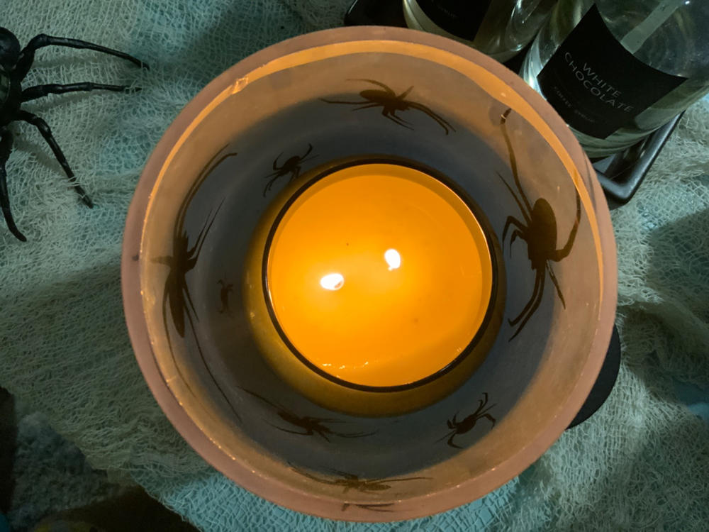 Purifying Radiance Large 2-wick - Customer Photo From Tonya Hall