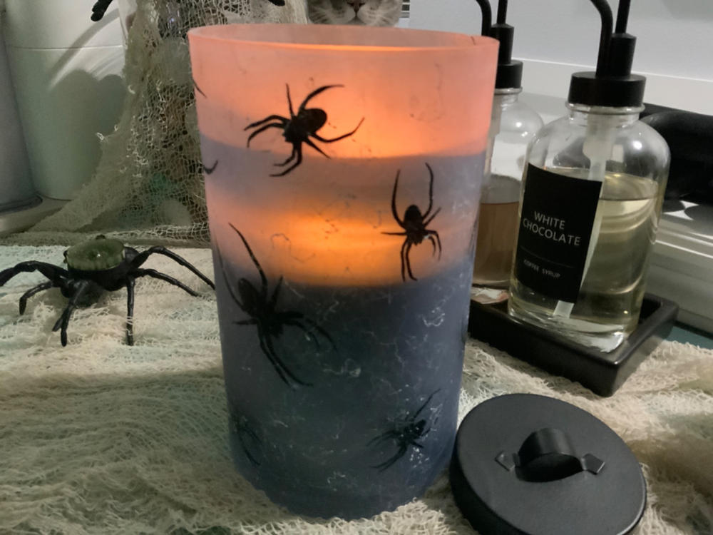 Purifying Radiance Large 2-wick - Customer Photo From Tonya Hall