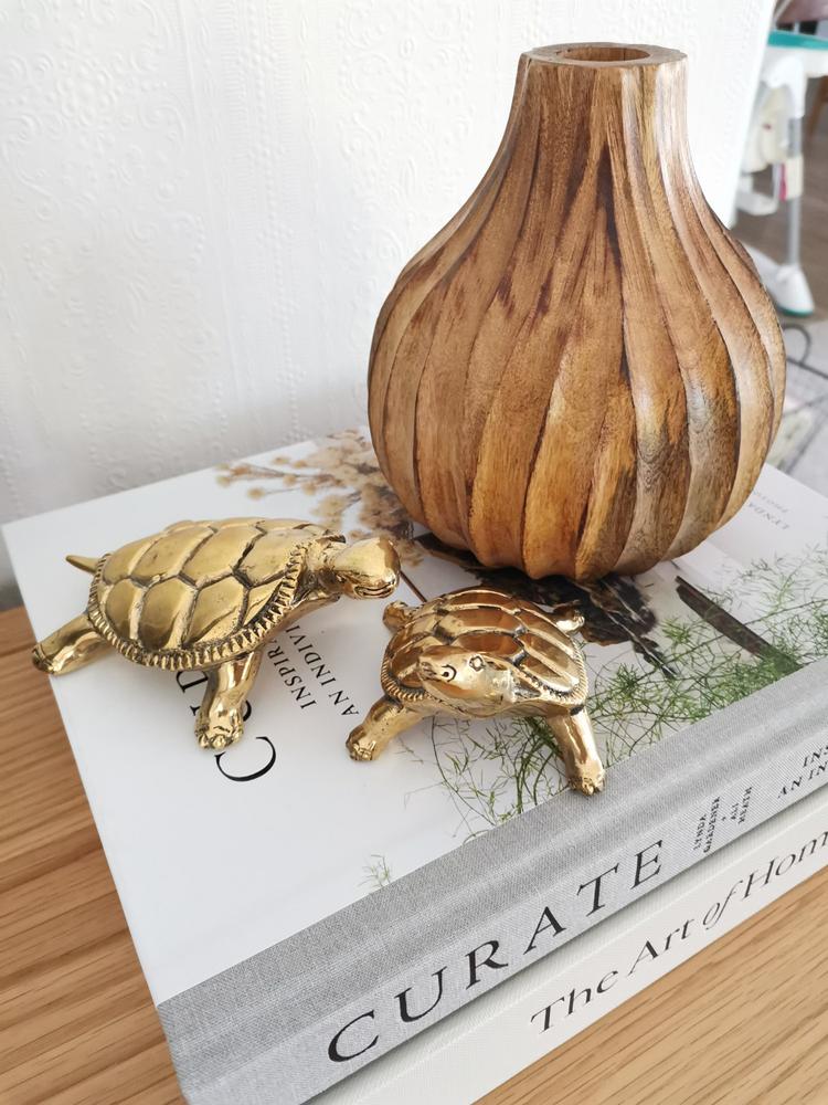 Balinese Brass | Large Turtle - Customer Photo From Elsha Mcdonald