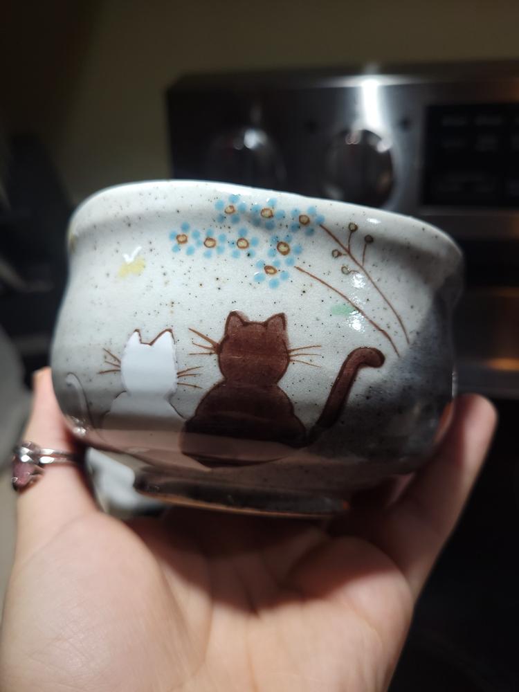 Atelier Yu Cats In Sunny Spot Kutani Matcha Bowl Chawan - Customer Photo From Anonymous