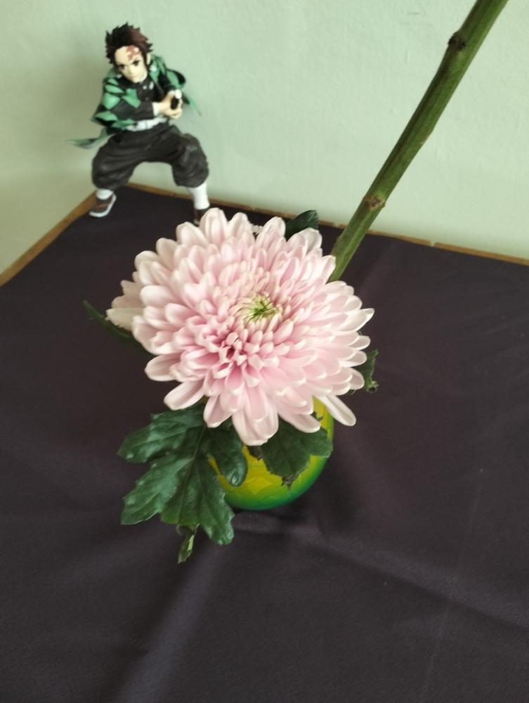 Ginsai Camellia Kutani Japanese Flower Vase - Customer Photo From Anonymous
