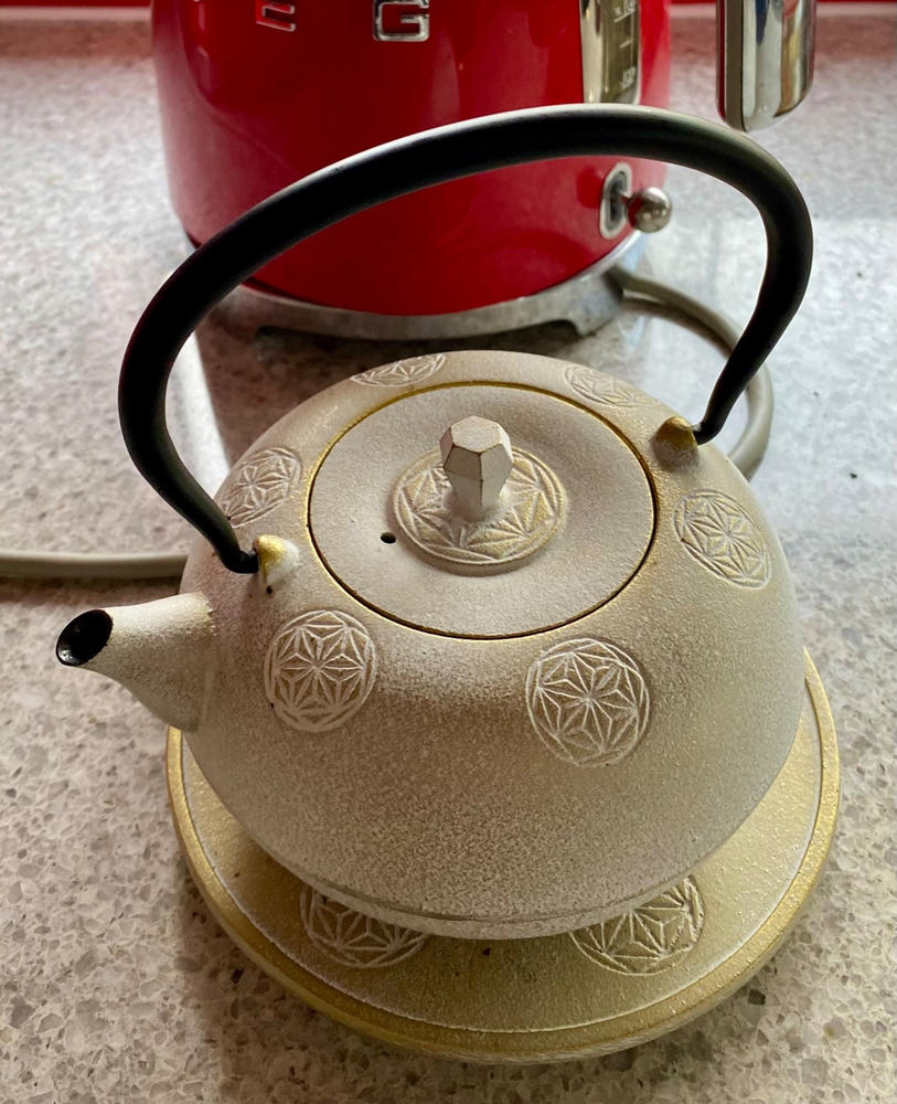Seven Stars Nambu Ironware Cast Iron Teapot with Trivet  20.3oz(600ml) - Customer Photo From Judith Q.