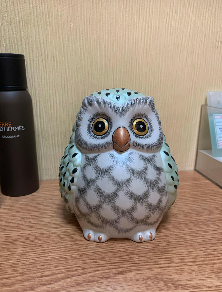 Kousai Kutani Owl Figurine - Customer Photo From Andrew