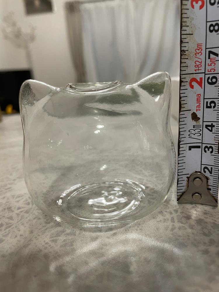 Cat Shaped Glass Terrarium - Customer Photo From Anonymous