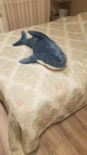 Shark Plush Toy - Customer Photo From T***a