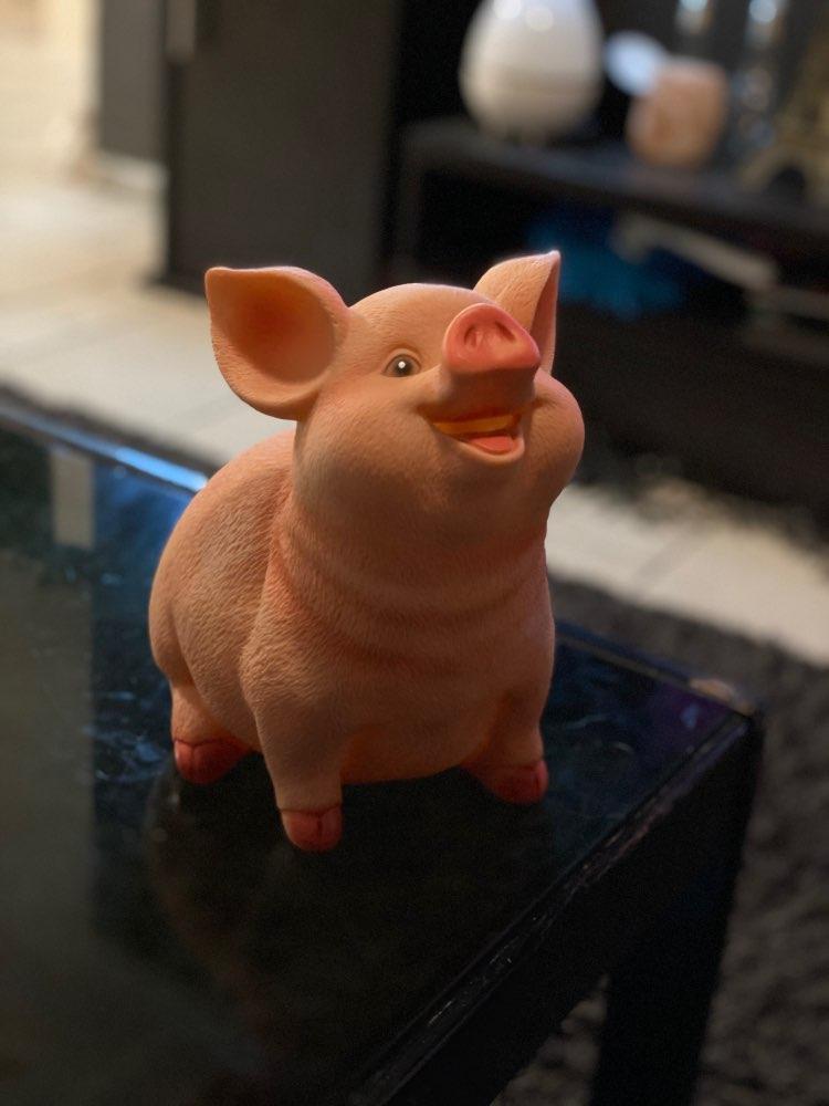 Realistic Jovial Piggy Bank