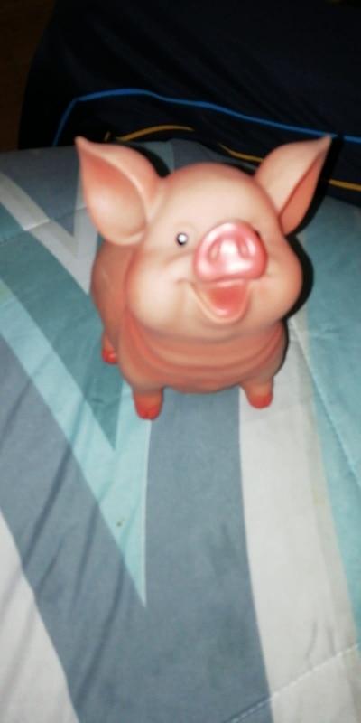 Realistic Jovial Piggy Bank (Various Sizes) - Customer Photo From N***a