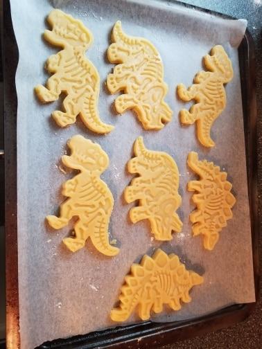 Dinosaur Fossil Cookie Cutters and Skeleton Stampers (Set of 6) - Customer Photo From K***e