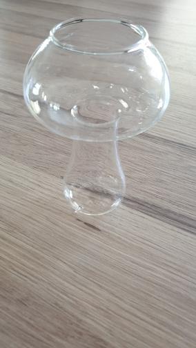 Fairy Mushroom Shaped Cocktail Glass - Customer Photo From M***N