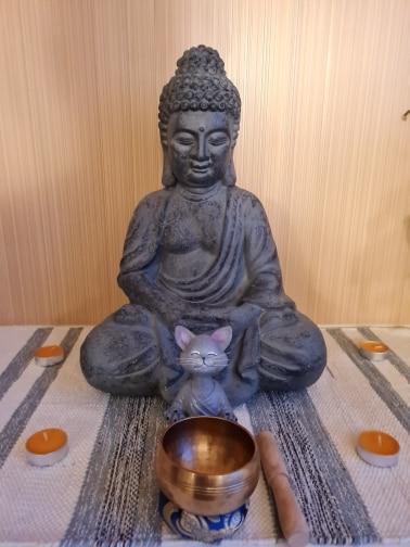 Zen Yoga Pose Meditation Cat Figurine - Customer Photo From I***v