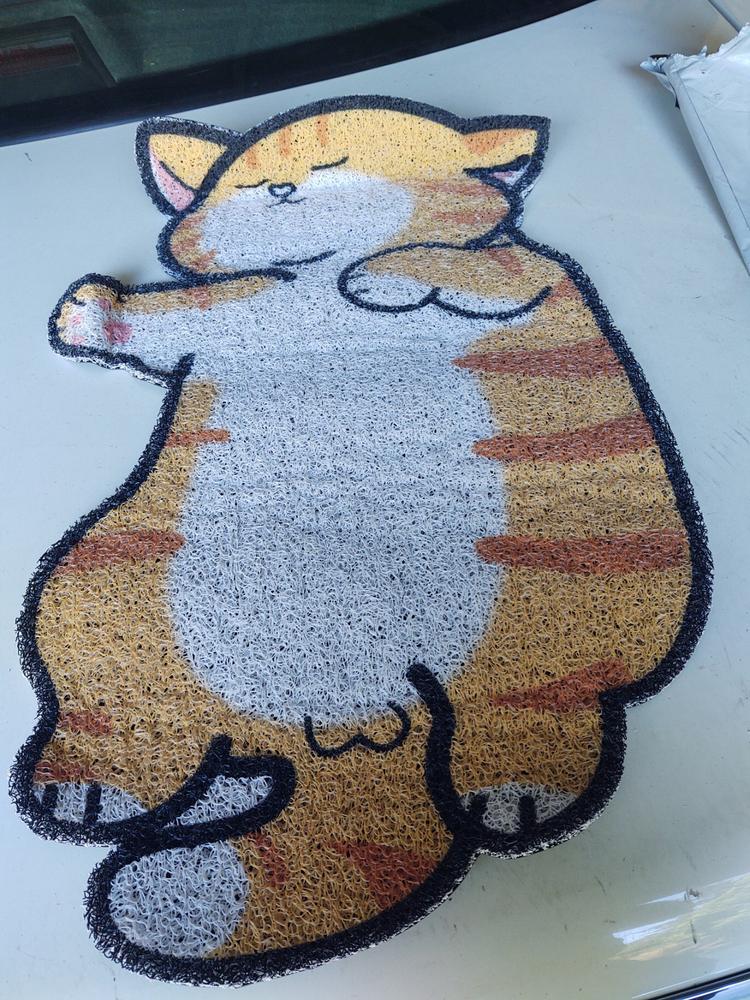 Lazy Cat Showing Balls Non-Slip Doormat Rug - Customer Photo From D***r