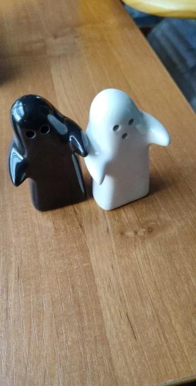 Ghost Hug Salt and Pepper Seasoning Shakers (Set of 2) - Customer Photo From Daisy